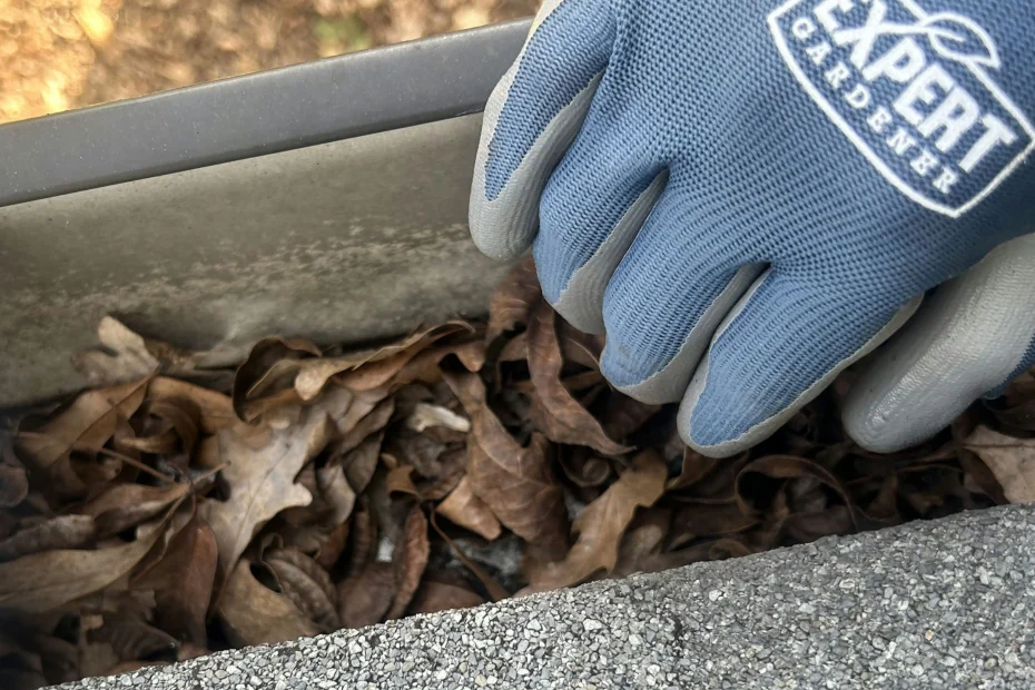 Gutter Cleaning Mount Sterling